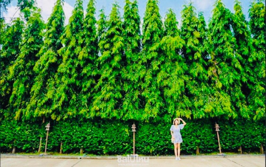 The Green Residence 304 Si Maha Phot エクステリア 写真